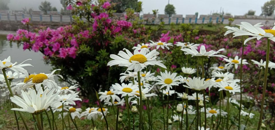 Photo of Darjeeling, with love by Adrita Choudhury
