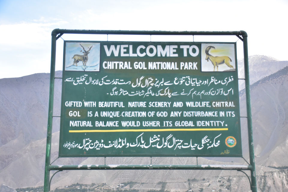 Photo of Chitral Gol National Park, Pakistan by Saad Bin Shamil