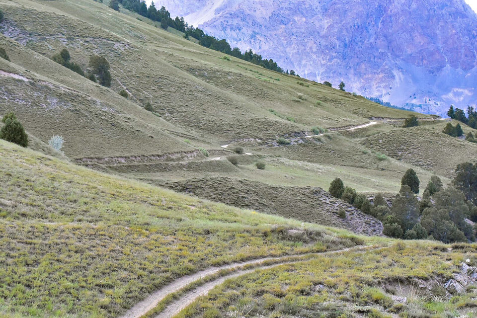 Photo of Chitral Gol National Park, Pakistan by Saad Bin Shamil