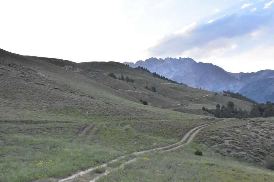 Photo of Chitral Gol National Park, Pakistan by Saad Bin Shamil
