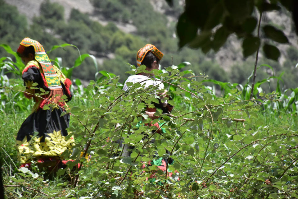 Photo of Kalash, Chitrāl, Pakistan by Saad Bin Shamil