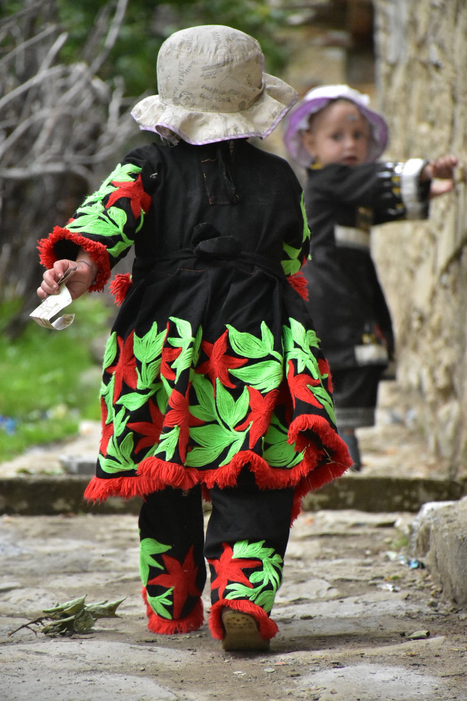 Photo of WHAT IS CHITRAL? by Saad Bin Shamil