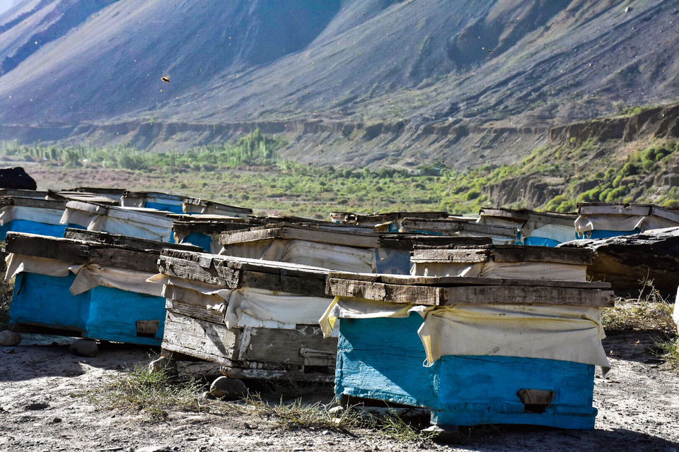 Photo of Mastuj, Pakistan by Saad Bin Shamil