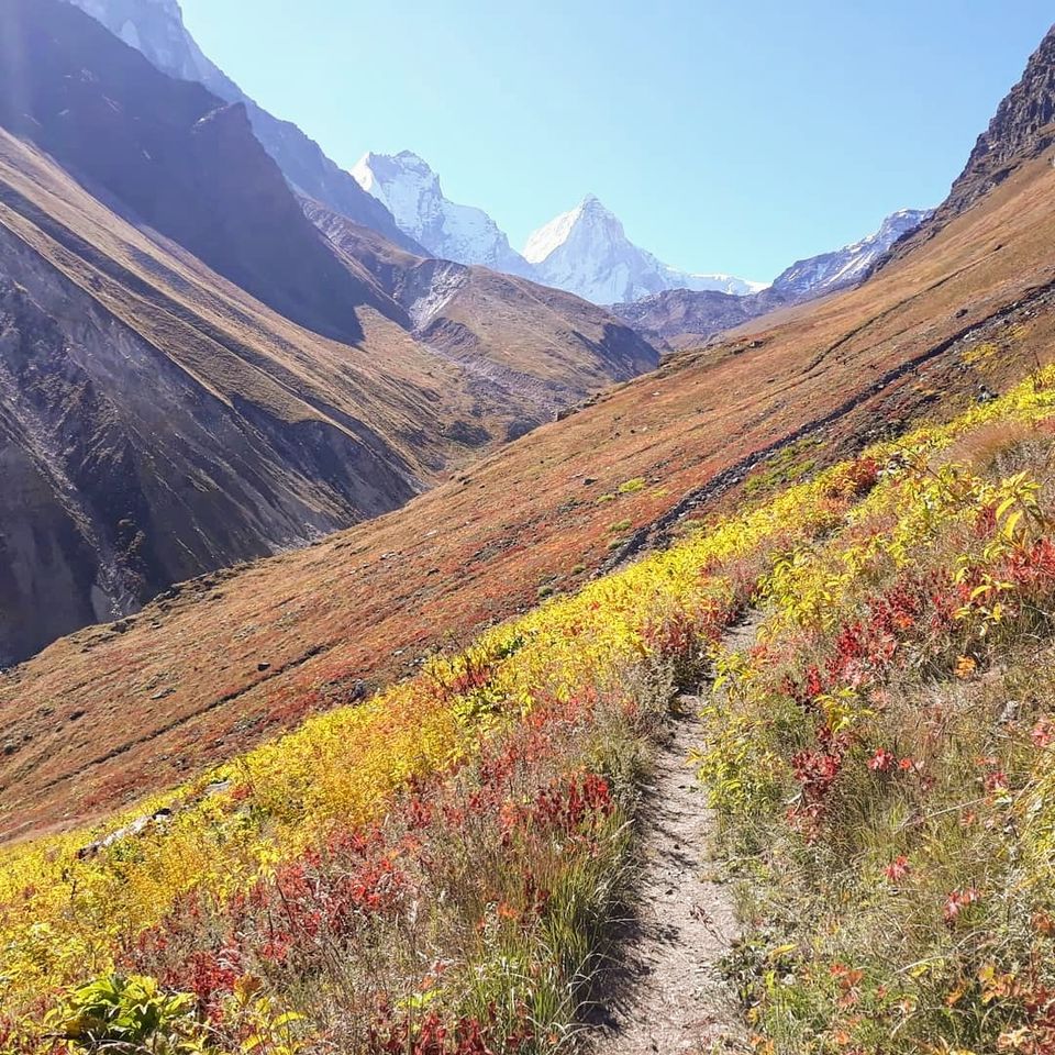Photo of Month end Activity- Kedartal Trip by Shubham kothari