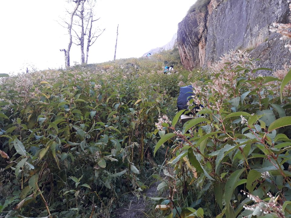 Photo of Month end Activity- Kedartal Trip by Shubham kothari
