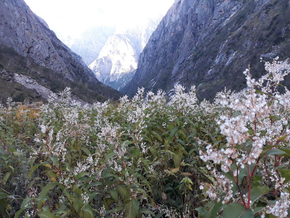 Photo of Month end Activity- Kedartal Trip by Shubham kothari