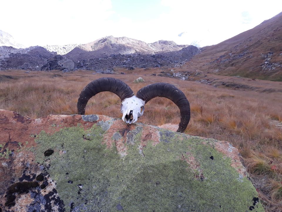 Photo of Month end Activity- Kedartal Trip by Shubham kothari
