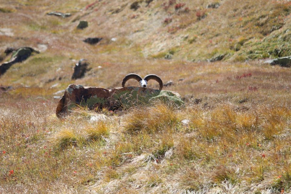 Photo of Month end Activity- Kedartal Trip by Shubham kothari