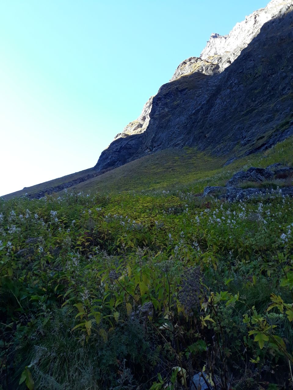 Photo of Month end Activity- Kedartal Trip by Shubham kothari