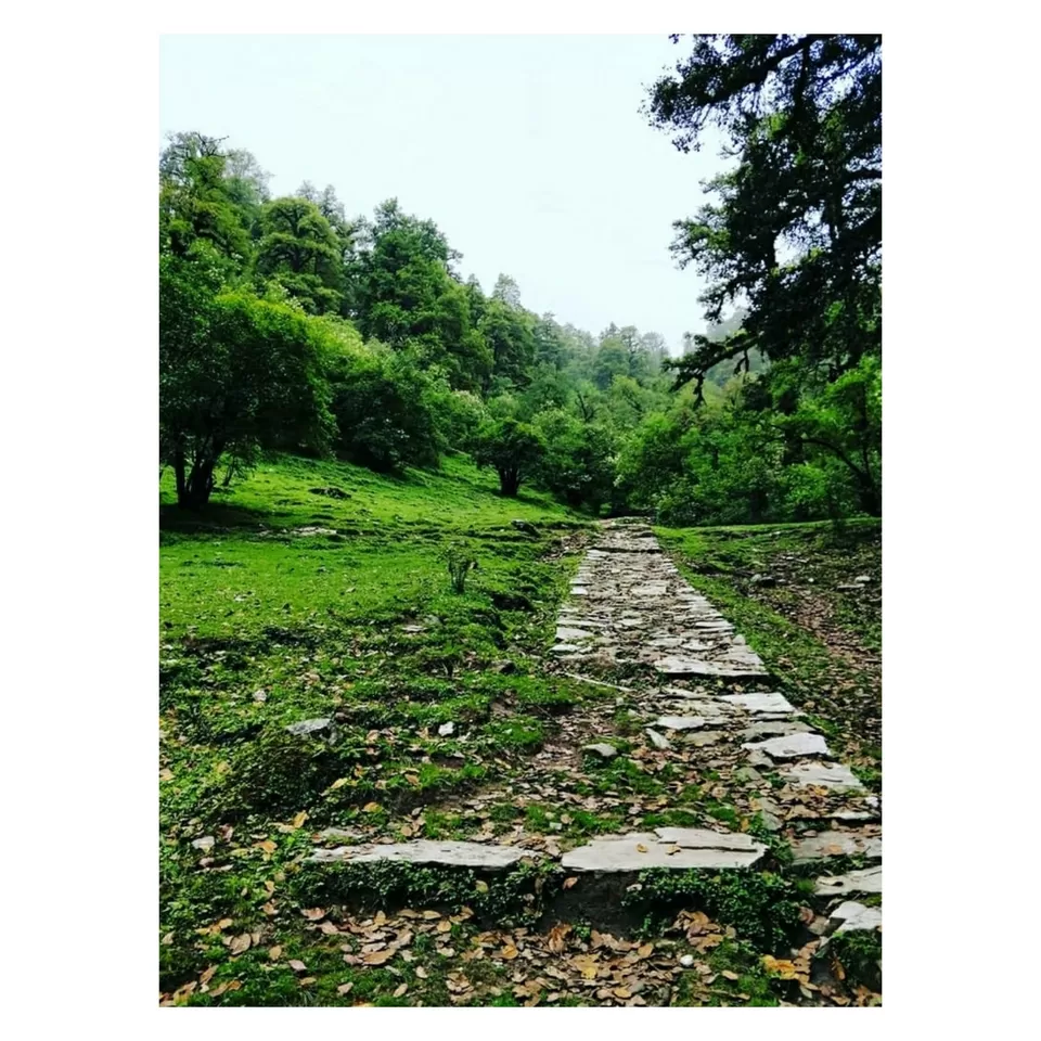Photo of Dayara Bugyal - A place where heaven exists by Shreya Prasad