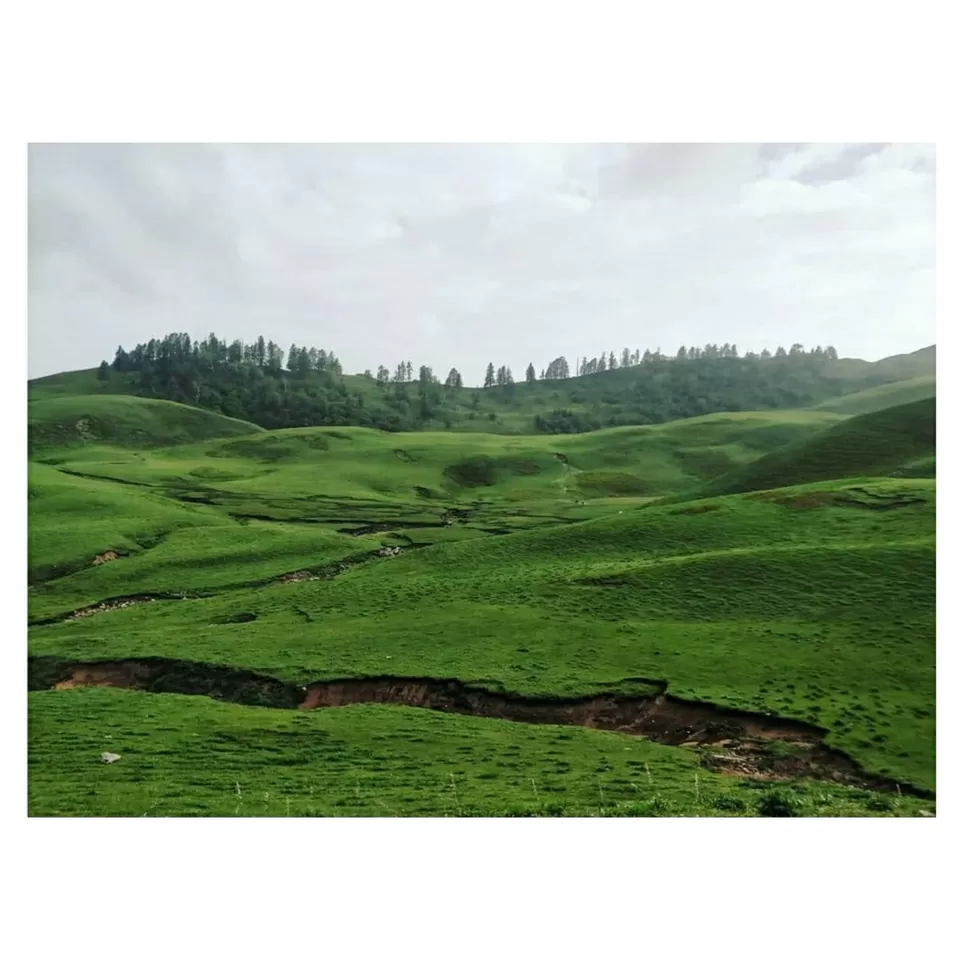 Photo of Dayara Bugyal - A place where heaven exists by Shreya Prasad