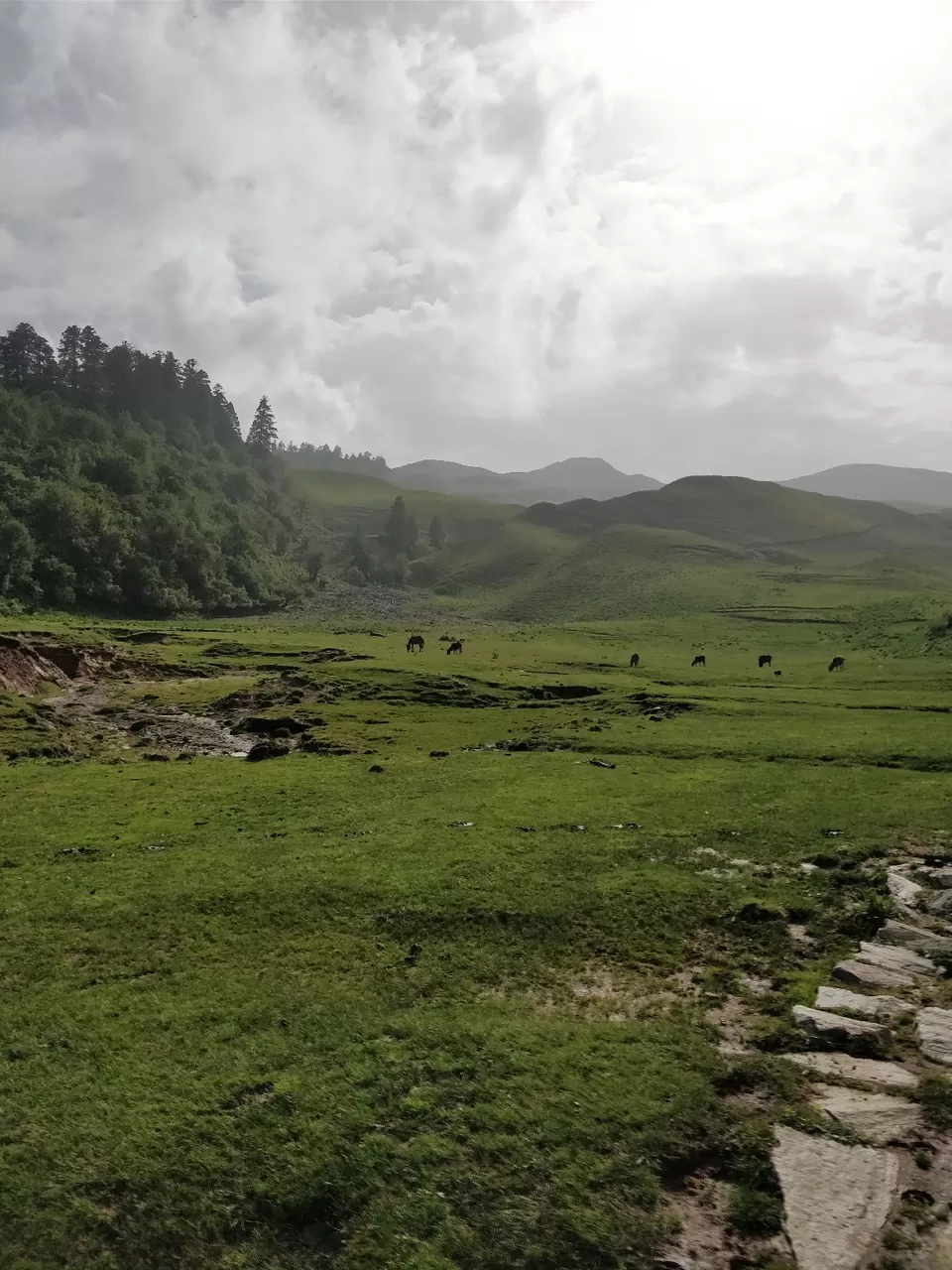 Photo of Dayara Bugyal - A place where heaven exists by Shreya Prasad