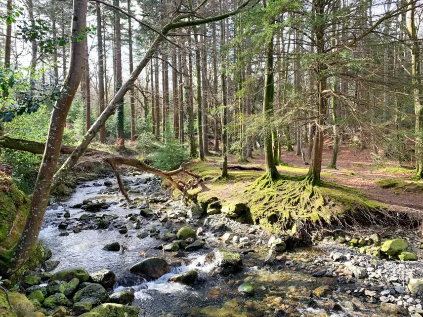Photo of Tollymore Forest Park, Bryansford Road, Newcastle, UK by IT IS A BLOG