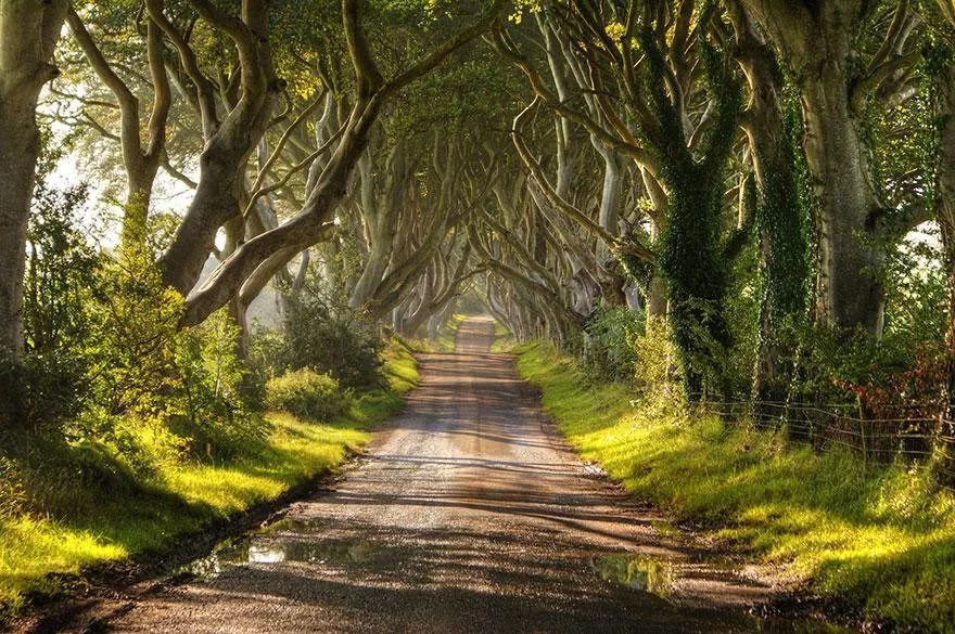 Photo of Bregagh Road, Ballymoney, Northern Ireland, UK by IT IS A BLOG