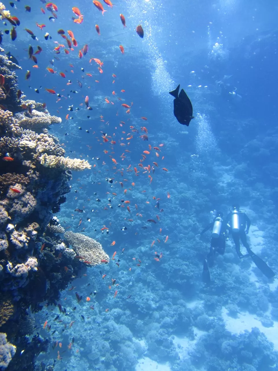 Photo of Andaman and Nicobar Islands, India by myheartontheroad