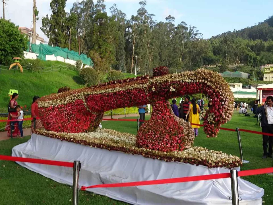Photo of Ooty, Tamil Nadu, India by Amrita