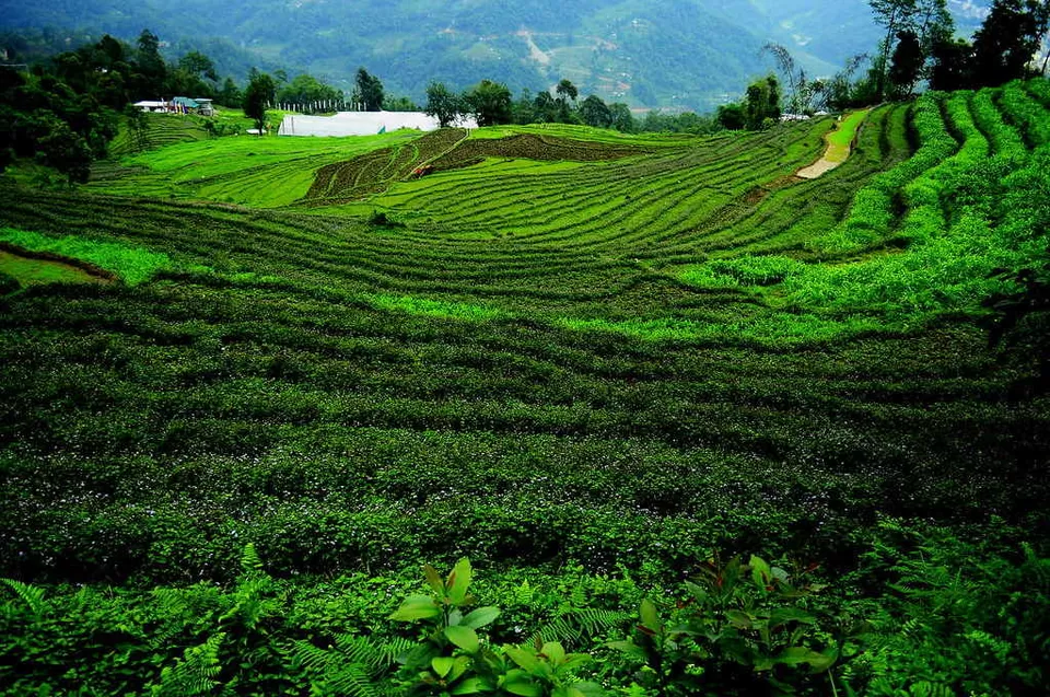 Photo of Sikkim, India by Amrita