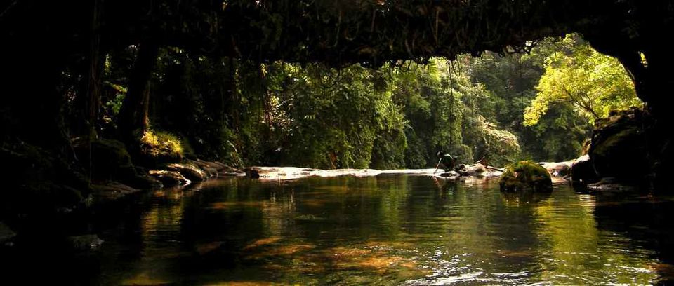Photo of Living Root Bridge, Meghalaya, India by Apratim Kundu