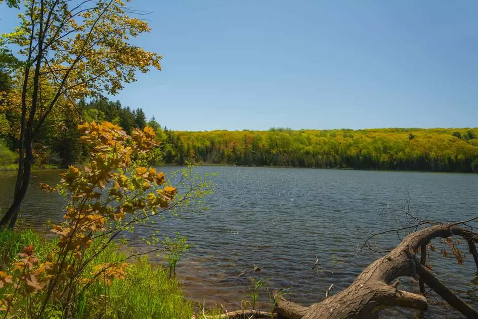 Photo of Wendat Trail, Barrie, ON, Canada by Anoop Pillai