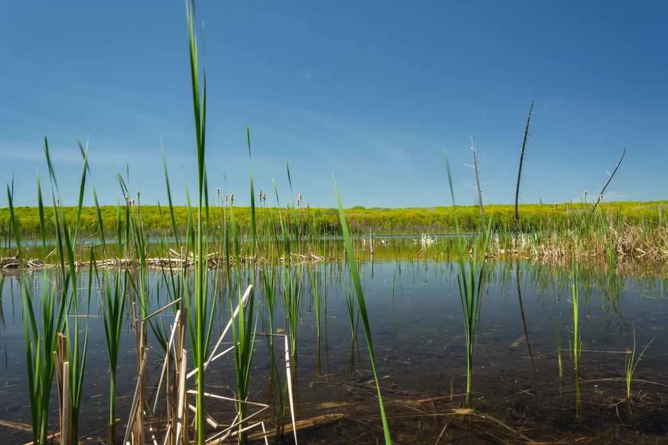 Photo of A Voyage to Awenda Provincial Park, Ontario - Canada by Anoop Pillai