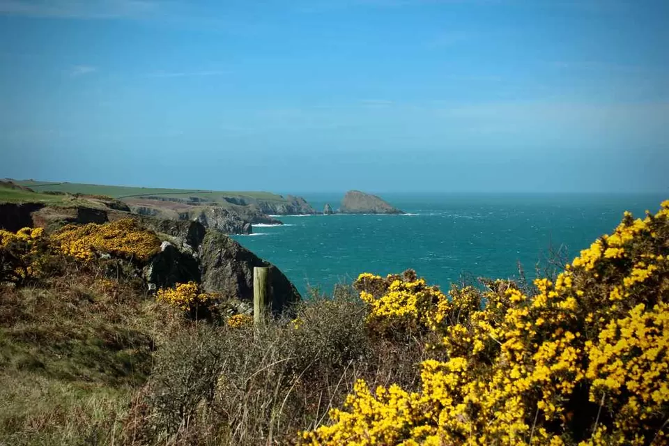 Photo of Tenby, UK by Prerna Prakash