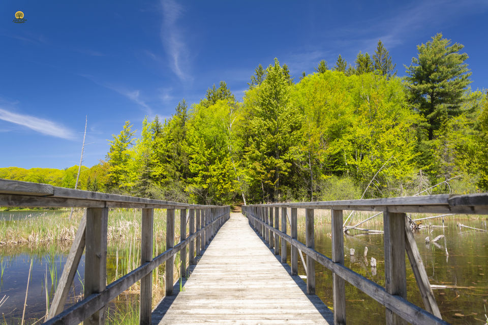 Photo of A Voyage to Awenda Provincial Park, Ontario - Canada 1/1 by Anoop Pillai