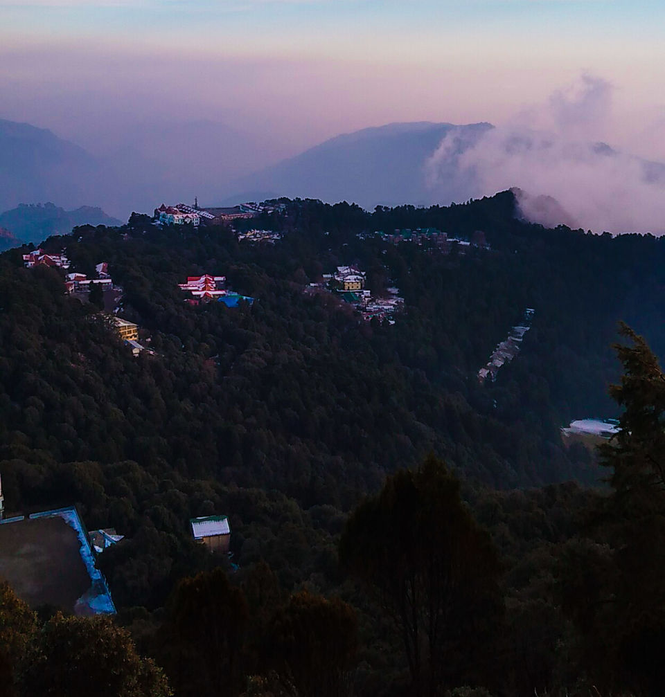 Photo of INTO THE WILDERNESS: TIFFIN TOP 4/8 by Priyanshu Mishra