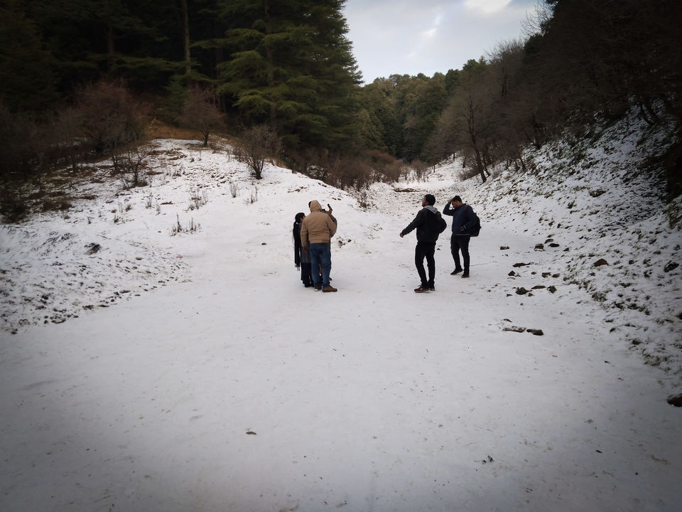 Photo of INTO THE WILDERNESS: TIFFIN TOP 6/8 by Priyanshu Mishra