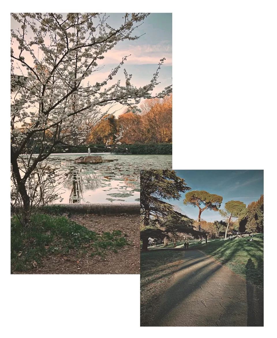 Photo of Villa Borghese, Piazzale Napoleone I, Roma, RM, Italia by giorgiavlntn 