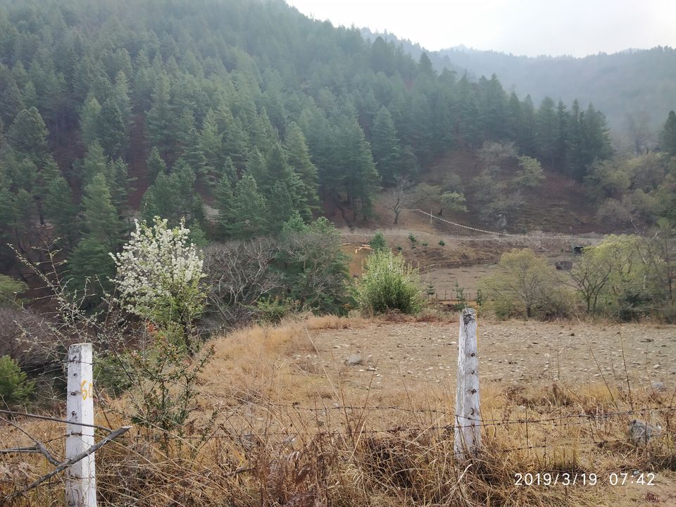 Photo of Journey To The Secret Sangti Valley In NE India 1/9 by Jai Das