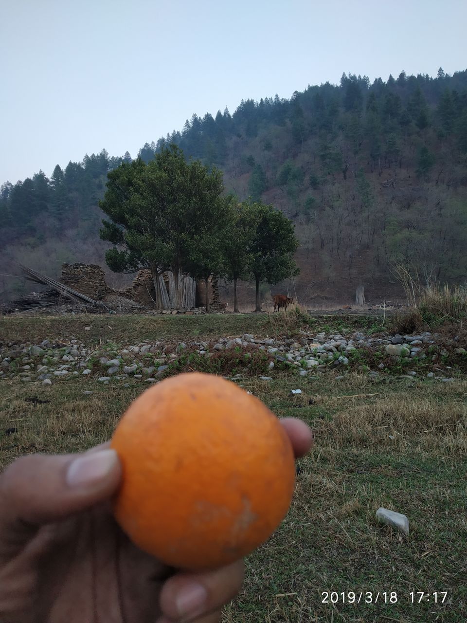 Photo of Journey To The Secret Sangti Valley In NE India 9/9 by Jai Das