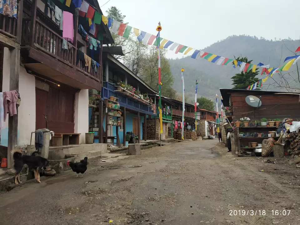 Photo of Journey To The Secret Sangti Valley In NE India by Jai Das