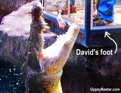 Photo of Gold Coast QLD, Australia by David & Veronica