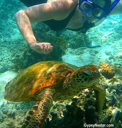 Photo of Queensland, Australia by David & Veronica