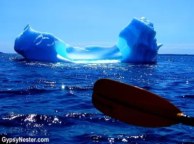 Photo of Newfoundland, Canada by David & Veronica