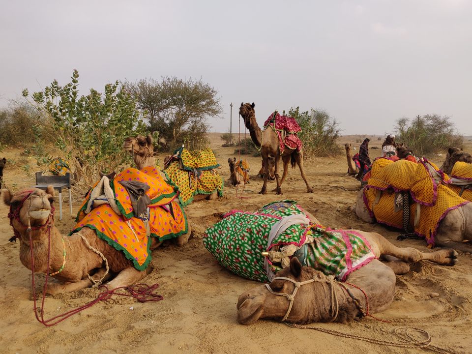 Photo of Padharo Mare Des by Swati Sanghi