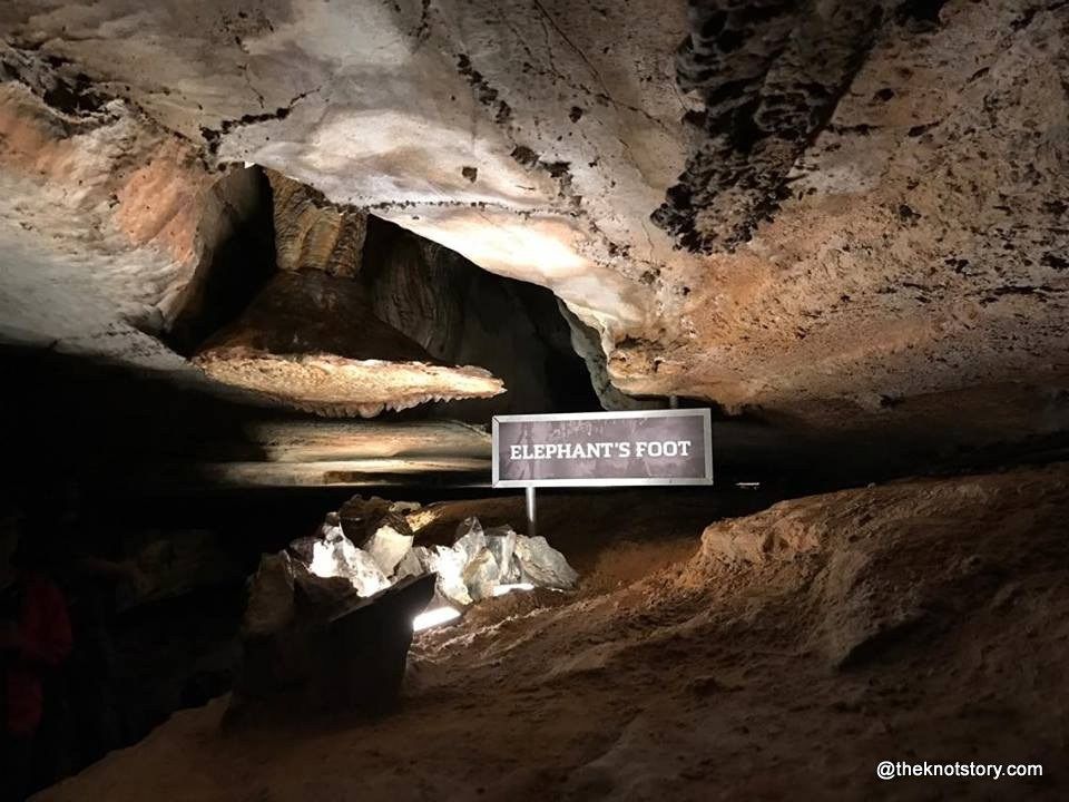 Photo of Explore Chattanooga - Ruby Falls and Lookout Mountains by Lakshmi & Gautham