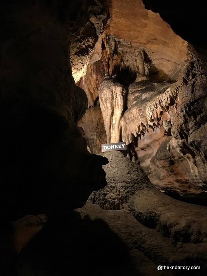 Photo of Explore Chattanooga - Ruby Falls and Lookout Mountains by Lakshmi & Gautham
