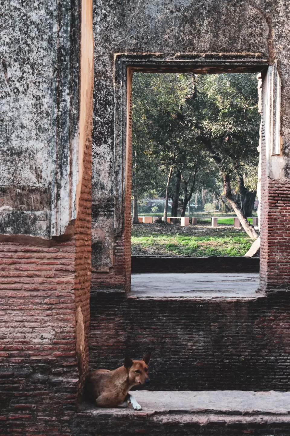 Photo of The Residency, Mahatma Gandhi Marg, Deep Manak Nagar, Qaisar Bagh, Lucknow, Uttar Pradesh, India by Mehul Agarwal