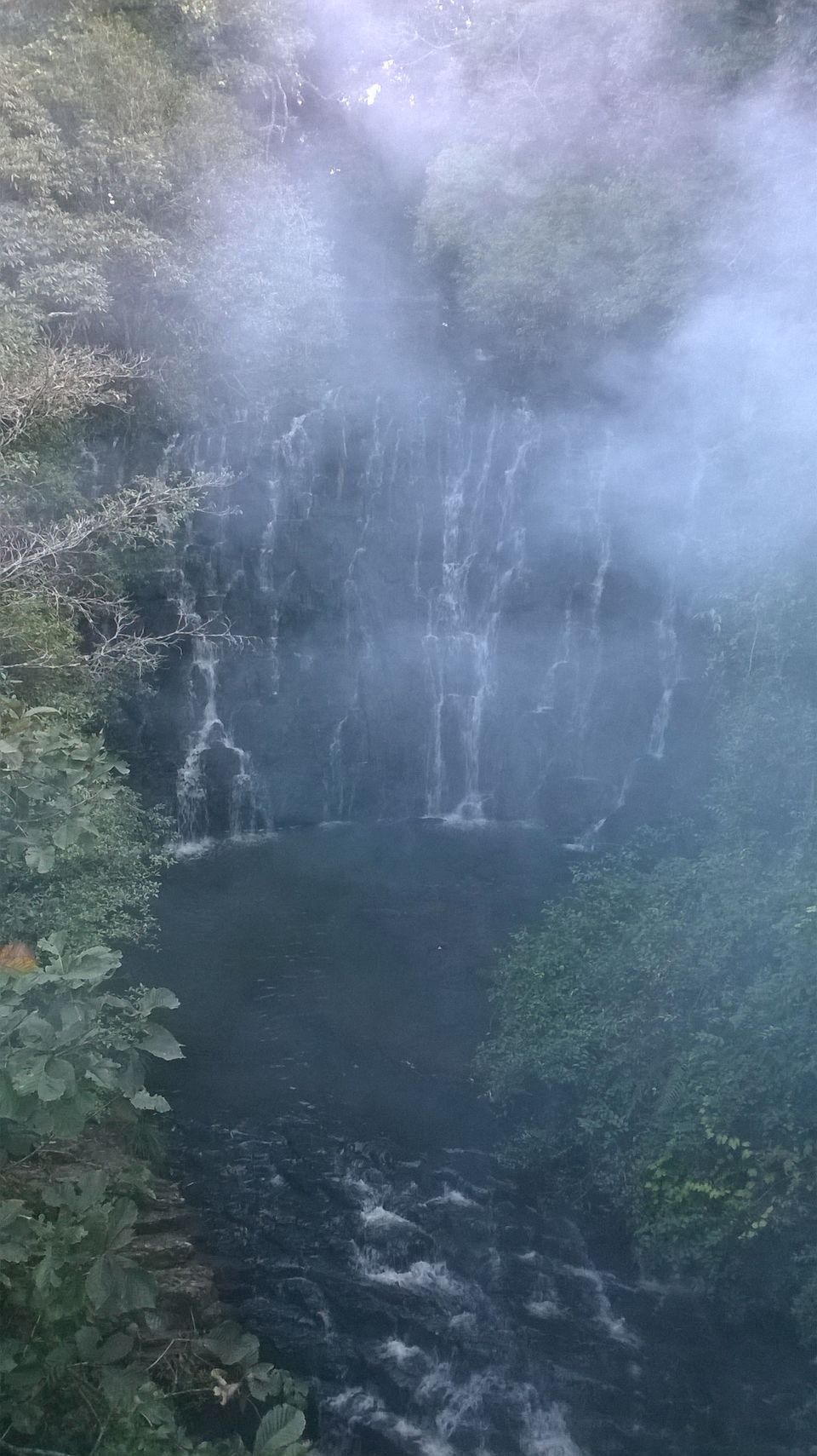 Photo of Experience eco-tourism in the abode of clouds and sound of waterfalls in Shillong by Sattanurupa Saha