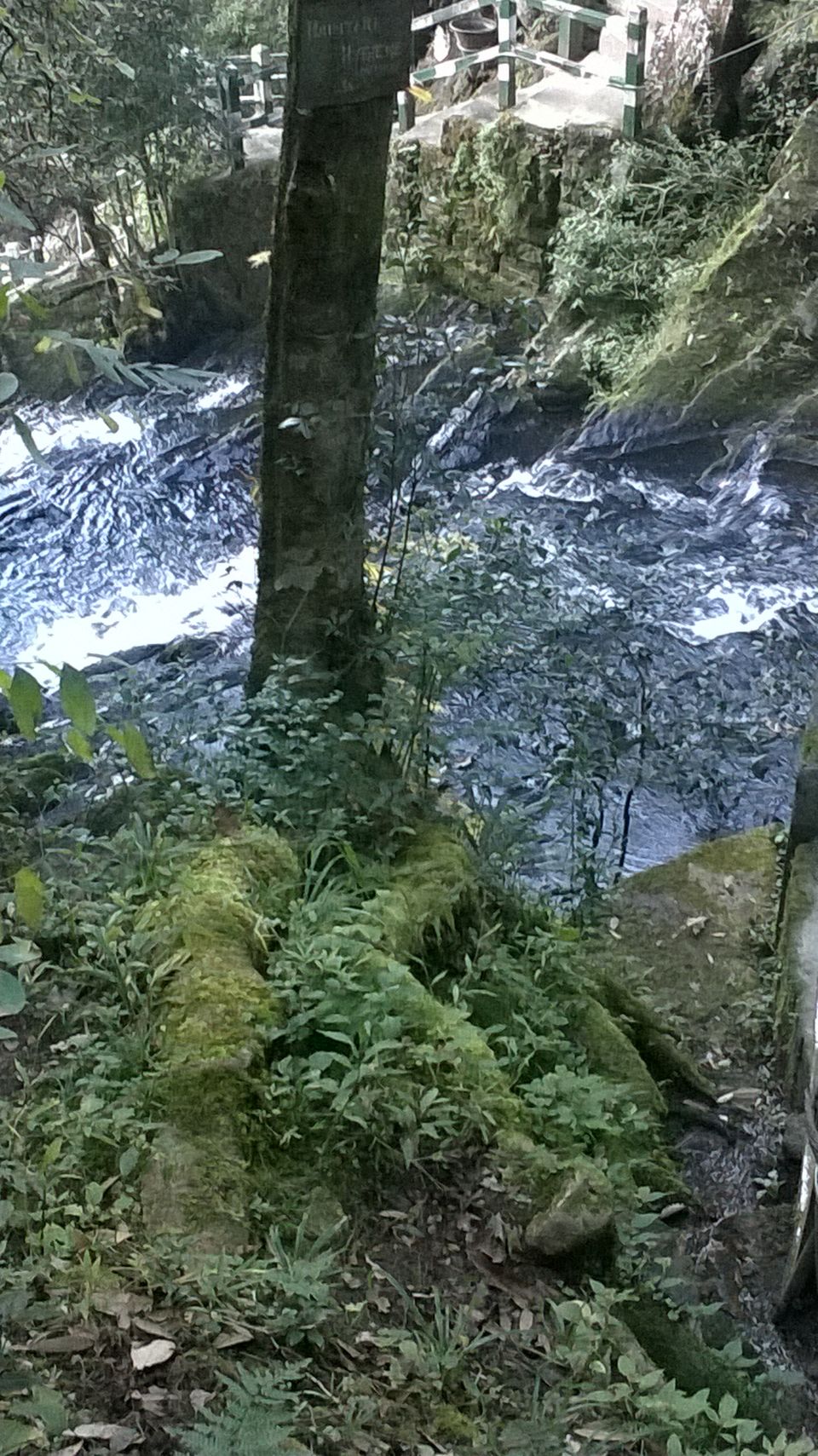 Photo of Experience eco-tourism in the abode of clouds and sound of waterfalls in Shillong by Sattanurupa Saha