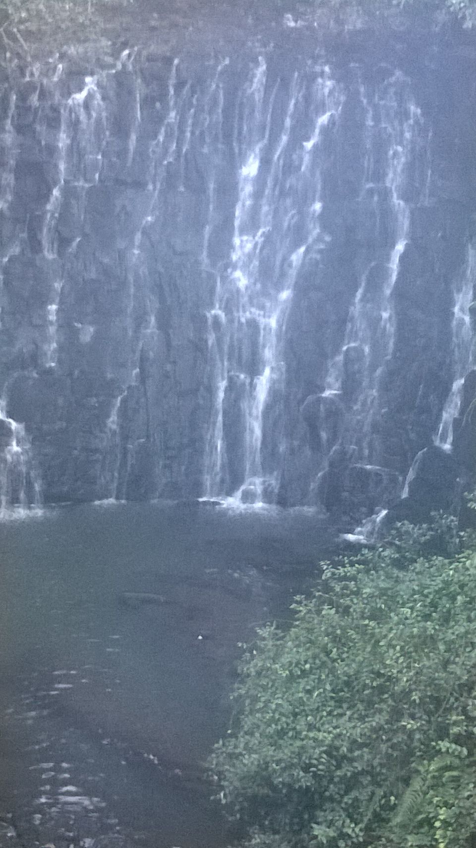 Photo of Experience eco-tourism in the abode of clouds and sound of waterfalls in Shillong by Sattanurupa Saha