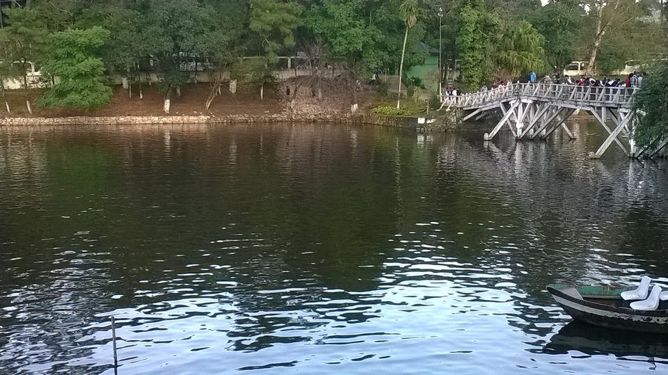 Photo of Experience eco-tourism in the abode of clouds and sound of waterfalls in Shillong by Sattanurupa Saha