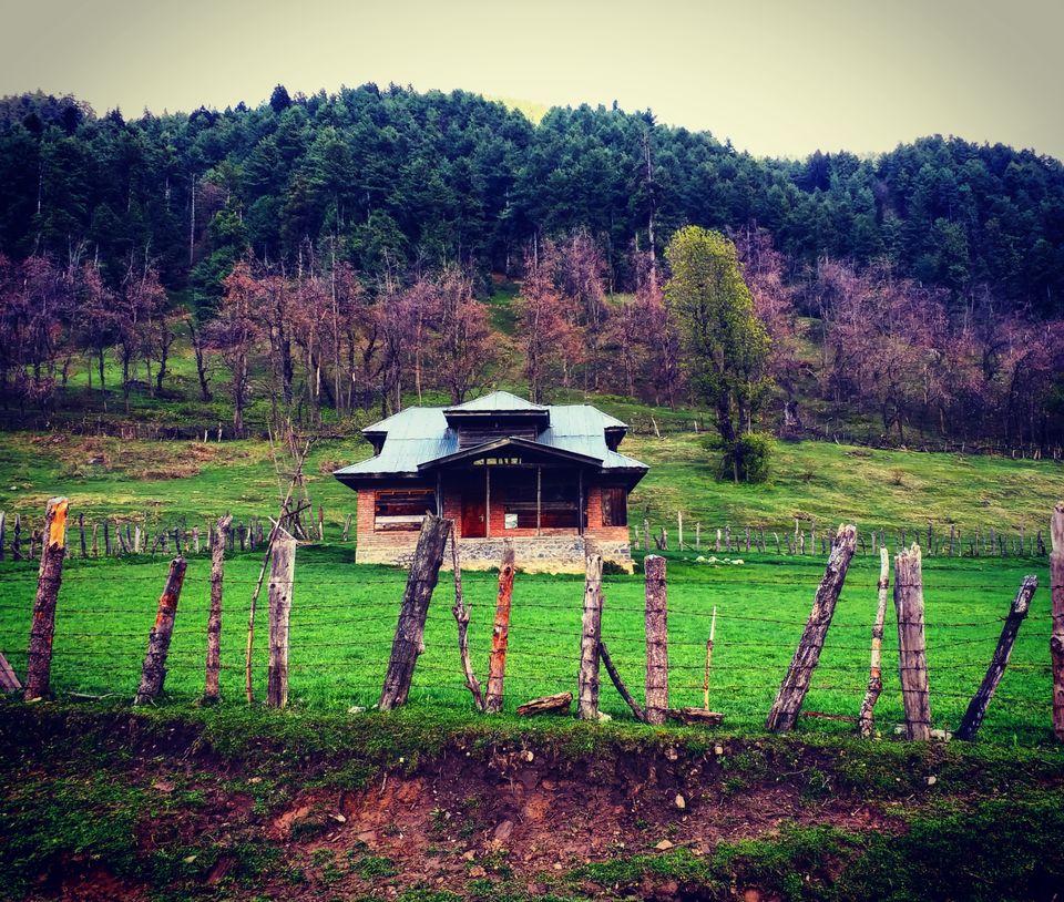 Photo of Aru Valley, Pahalgam by Farhan Raina