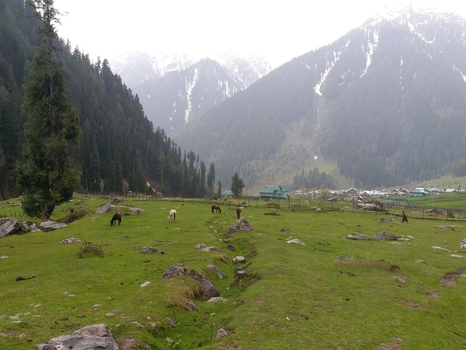 Photo of Aru Valley, Pahalgam by Farhan Raina