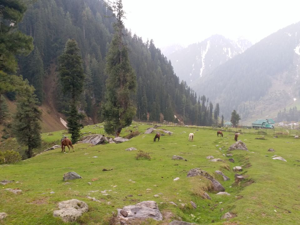 Photo of Aru Valley, Pahalgam by Farhan Raina
