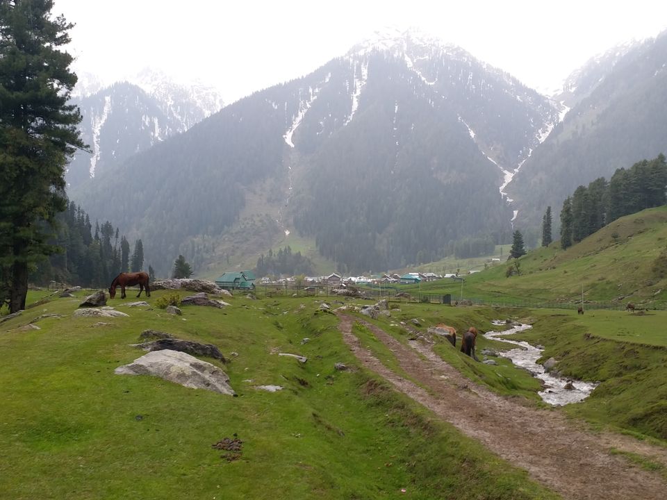Photo of Aru Valley, Pahalgam by Farhan Raina