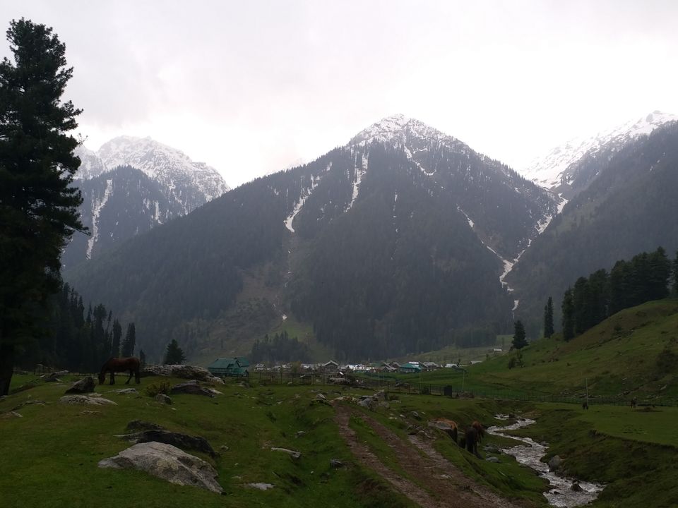 Photo of Aru Valley, Pahalgam by Farhan Raina
