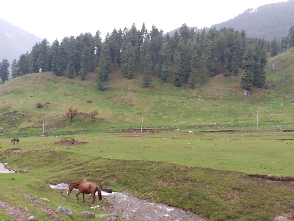 Photo of Aru Valley, Pahalgam by Farhan Raina
