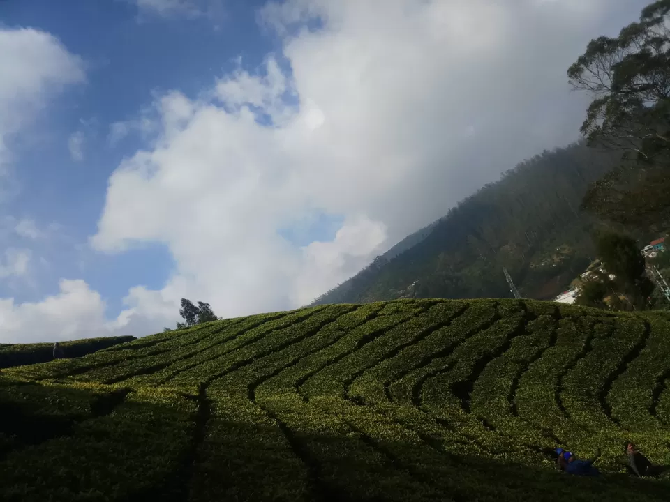Photo of Love Hill stations? Haven't visited Ooty yet? by Rohit Rajpal